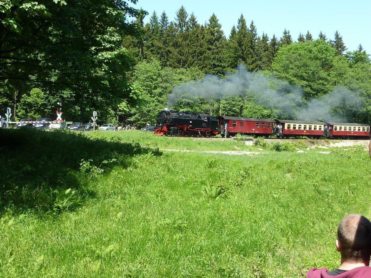 Kranich Bad Sachsa